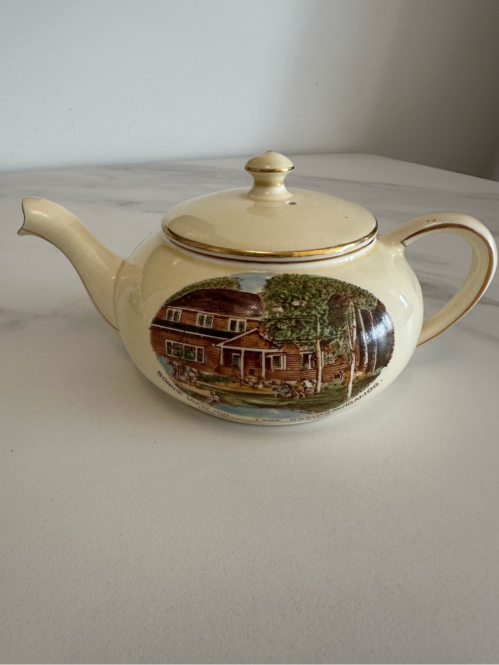 Small Vintage Royal Winton “Old Canada”Cream Ceramic Teapot w/ Bonnie View Inn